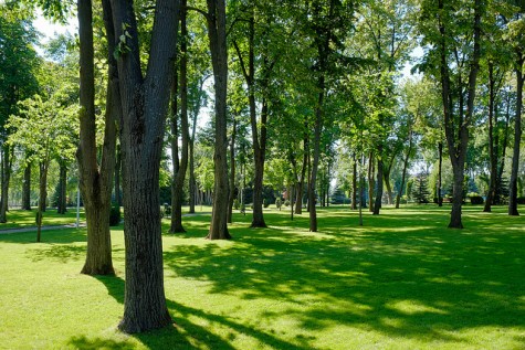Frugal Fun in the Sun: Parks are Perfect