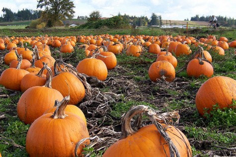 The Best Pumpkin Patches and Haunted Houses in Portland