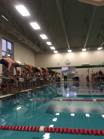 Swim Team Finishes Strong at District Meet and Heads to State