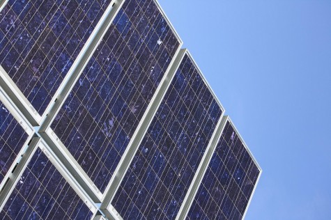 La Salle Cultivates Green Efforts