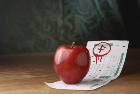 AP Classes Don’t Always Provide Concrete Benefits