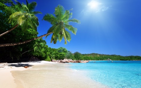 La Salle Counts Down the Days to Spring Break