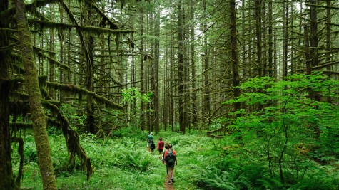 Hiking Hotspots