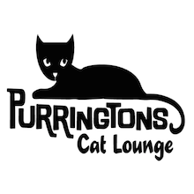 Why Portland? Purringtons Cat Lounge