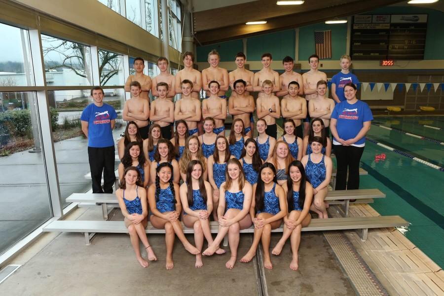 Swim+Teams+Head+to+District+Meet+with+7-1+Record