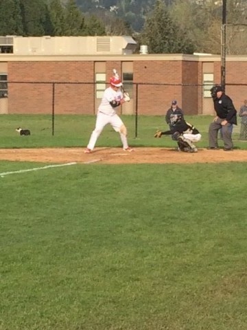 Falcon Baseball: Swinging for the Fences