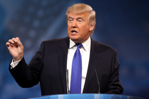 Donald Trump: Campaigning at the Next Level