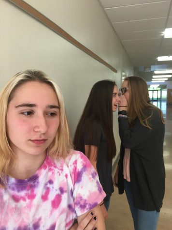What No One Told Me About High School