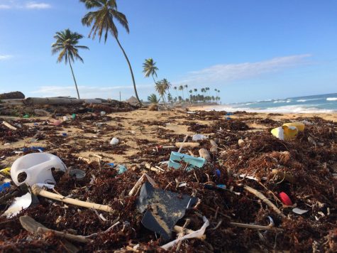 The Careless Overuse of Plastic is Damaging Our Planet