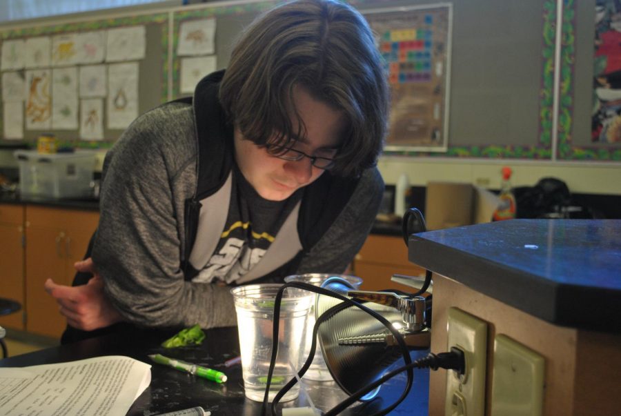 A student in Mr. Roths biology class observes the process of photosynthesis during a lab.