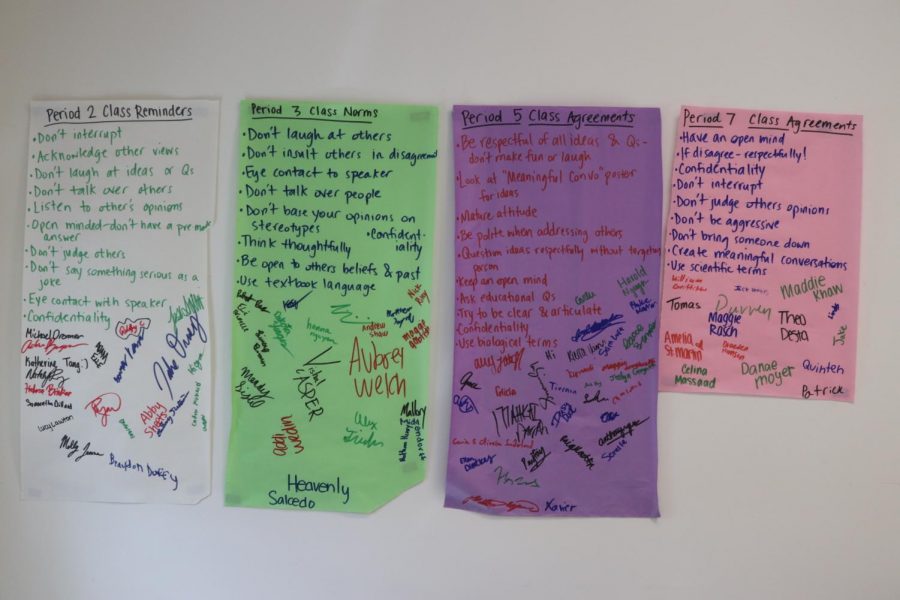 Ms. Hudsons second semester Health 2 classes created guidelines prior to starting the sex education unit. 