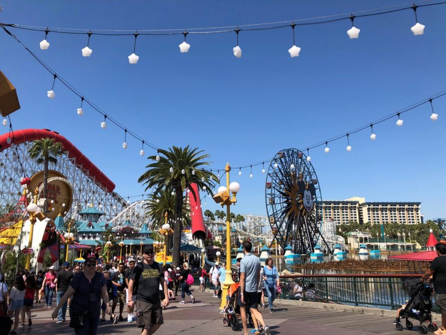 The staff of The Falconer visited Disney California Adventure Park while in Anaheim, CA for the Spring National High School Journalism Convention.