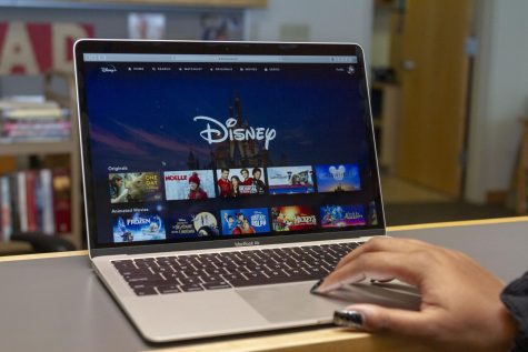 Disney+ offers nearly 500 movies and 7,500 different episodes of TV. 