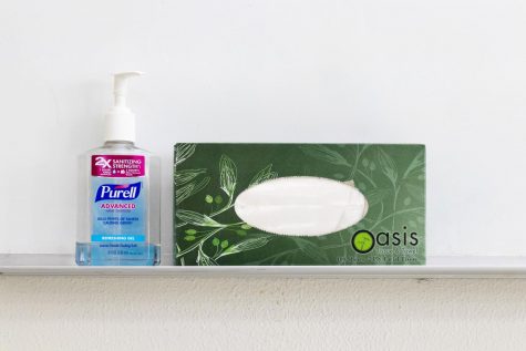 The Coronavirus: The Myths, The Facts, and What La Salle Students Can Do