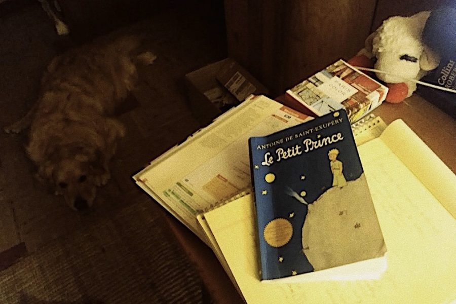 One part of The Little Prince Mr. Cameron Fitzsimmons finds deeply significant is its focus on the most valuable aspects of life, and he believes now is an important time for this focus.