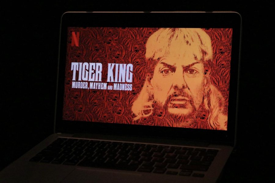 Within the first ten days of its release, “Tiger King” had already reached over 30 million views. 