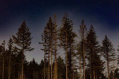 Astrology readings are based upon a person's date of birth and how it corresponds with the arrangement of the stars.