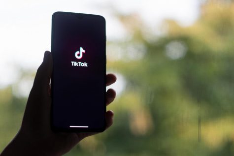 TikTok, a social media platform where users create and watch short videos, often popularizes songs through its ever-fluctuating trends.