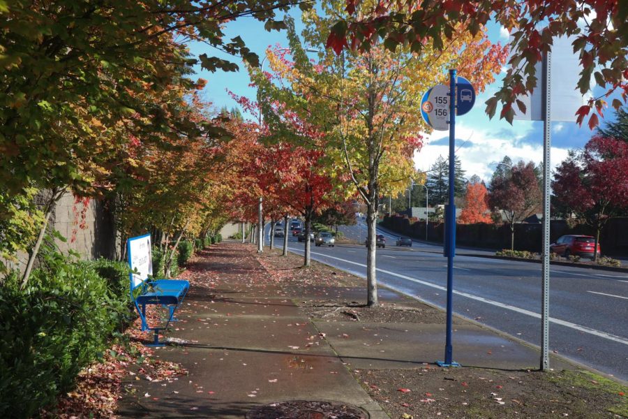 Deciding whether to drive or take public transportation is a choice many people face on a daily basis that can have significant environmental impacts. 
