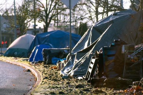 Tent encampments can be found all over Oregon, including on 102nd Street in Portland.