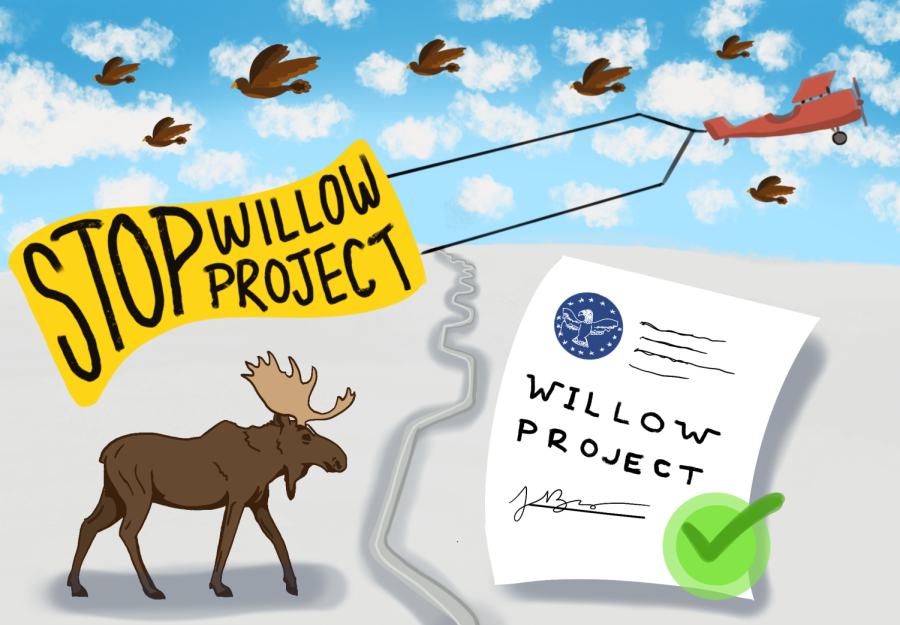 There are concerns about the Willow Projects effects on the well-being of animals, their habitats, and their migration patterns. 