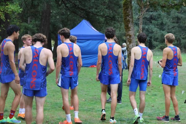 The girls and boys varsity cross country teams had athletes breaking personal and season records at the Lewis and Clark Invitational on Saturday, Oct. 14.  