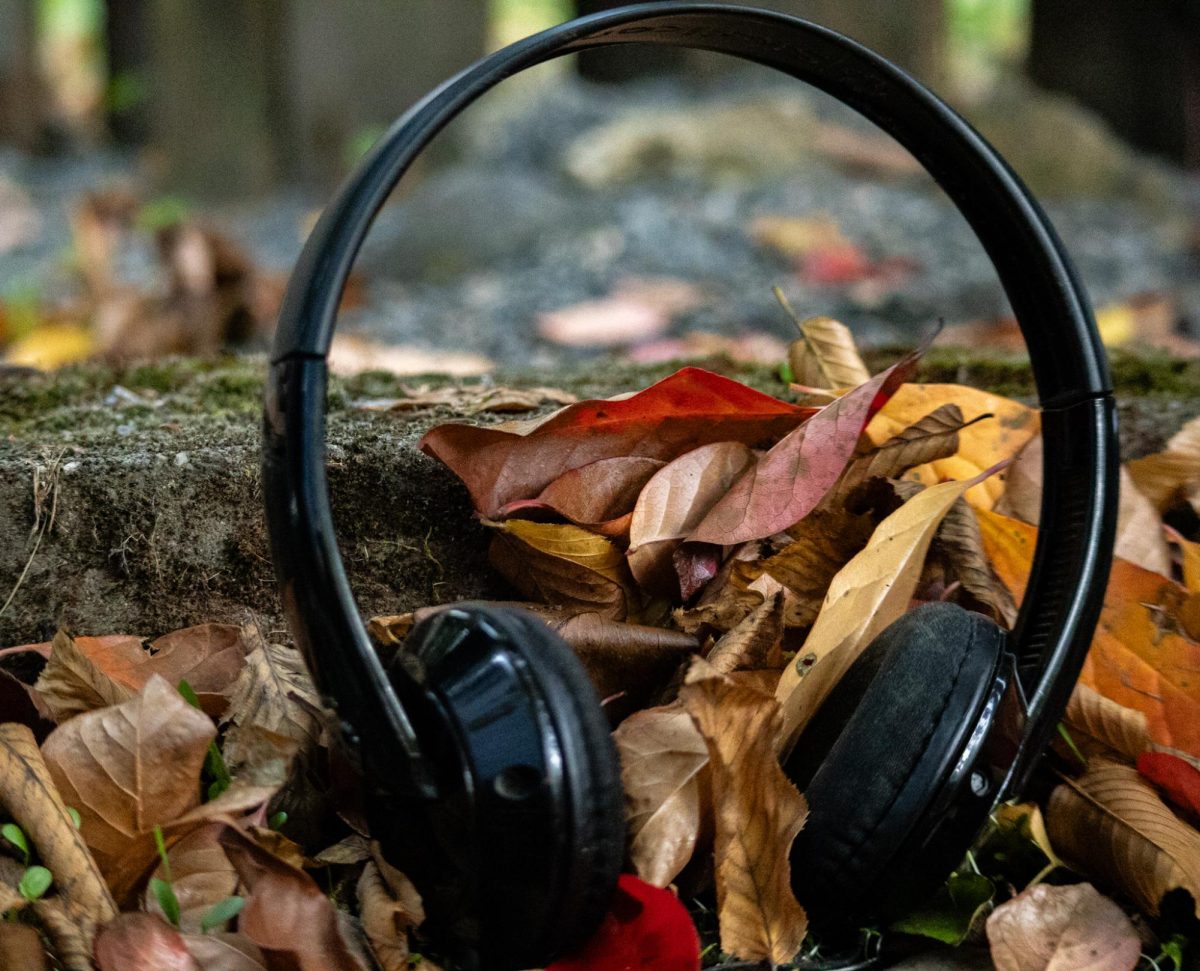 This playlist is filled with a variety of different genres, but all of them cover the different feelings and emotions that come from the autumn season. 