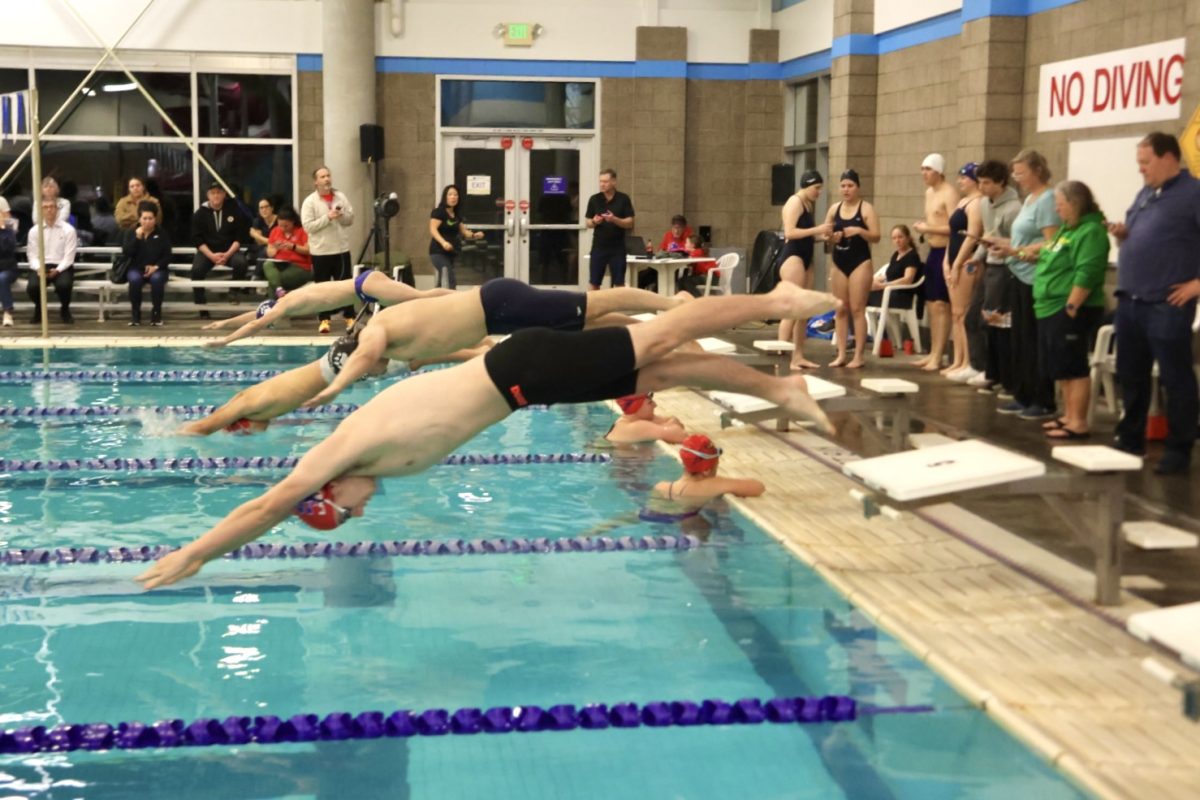  La Salle’s swim team came out on top against Wilsonville in their last home meet of the season. 