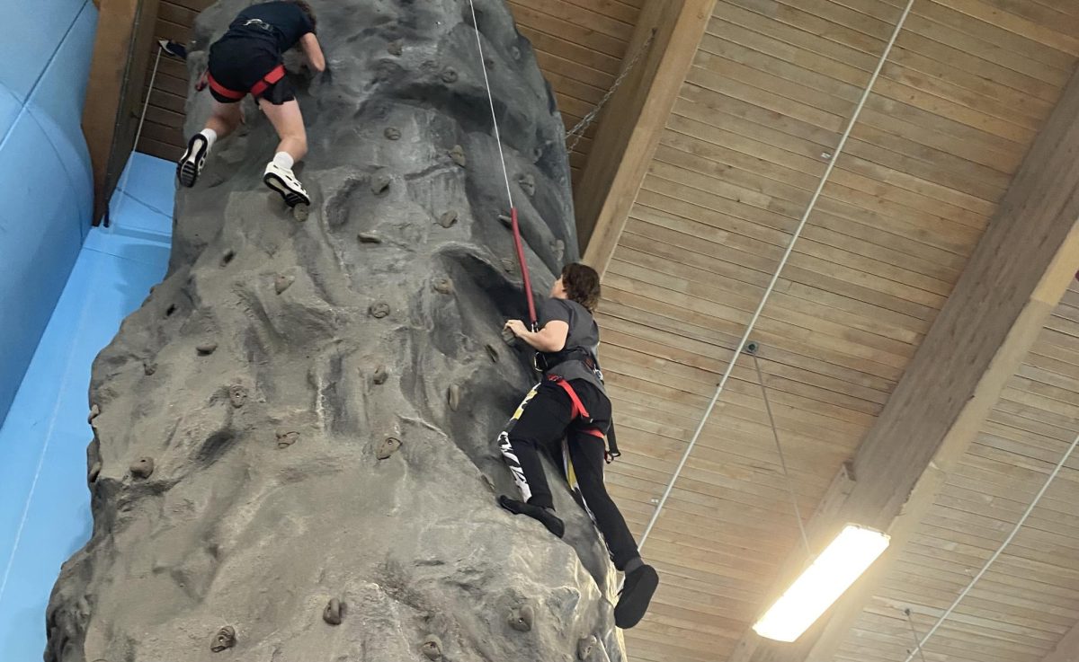 Students in Yoga Power take a class period to go to the North Clackamas Aquatic Center to rock climb.