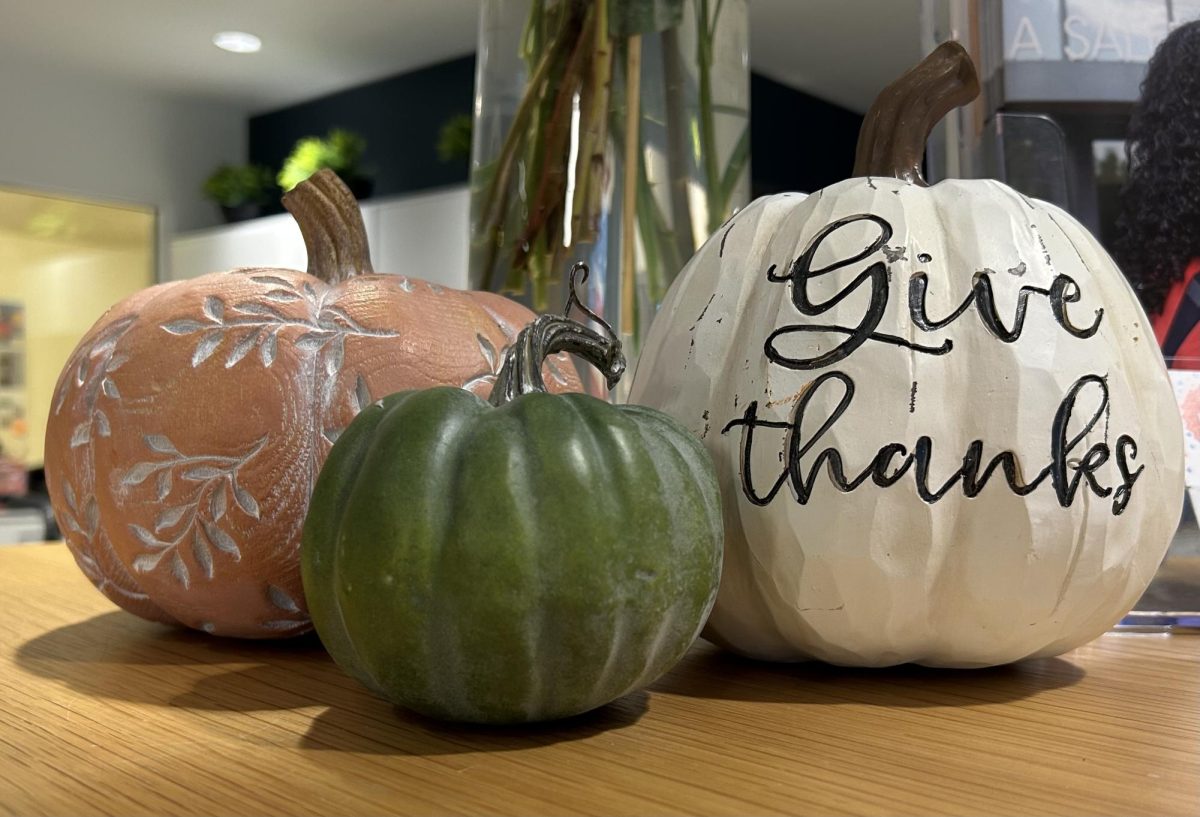 Festive pumpkins have been displayed in the main office.