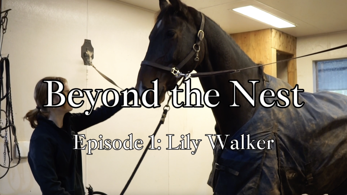 Beyond the Nest: Lily Walker