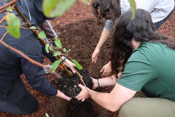 Earth club has started its journey to improve La Salle’s environment and become an Oregon Green School (OGS).