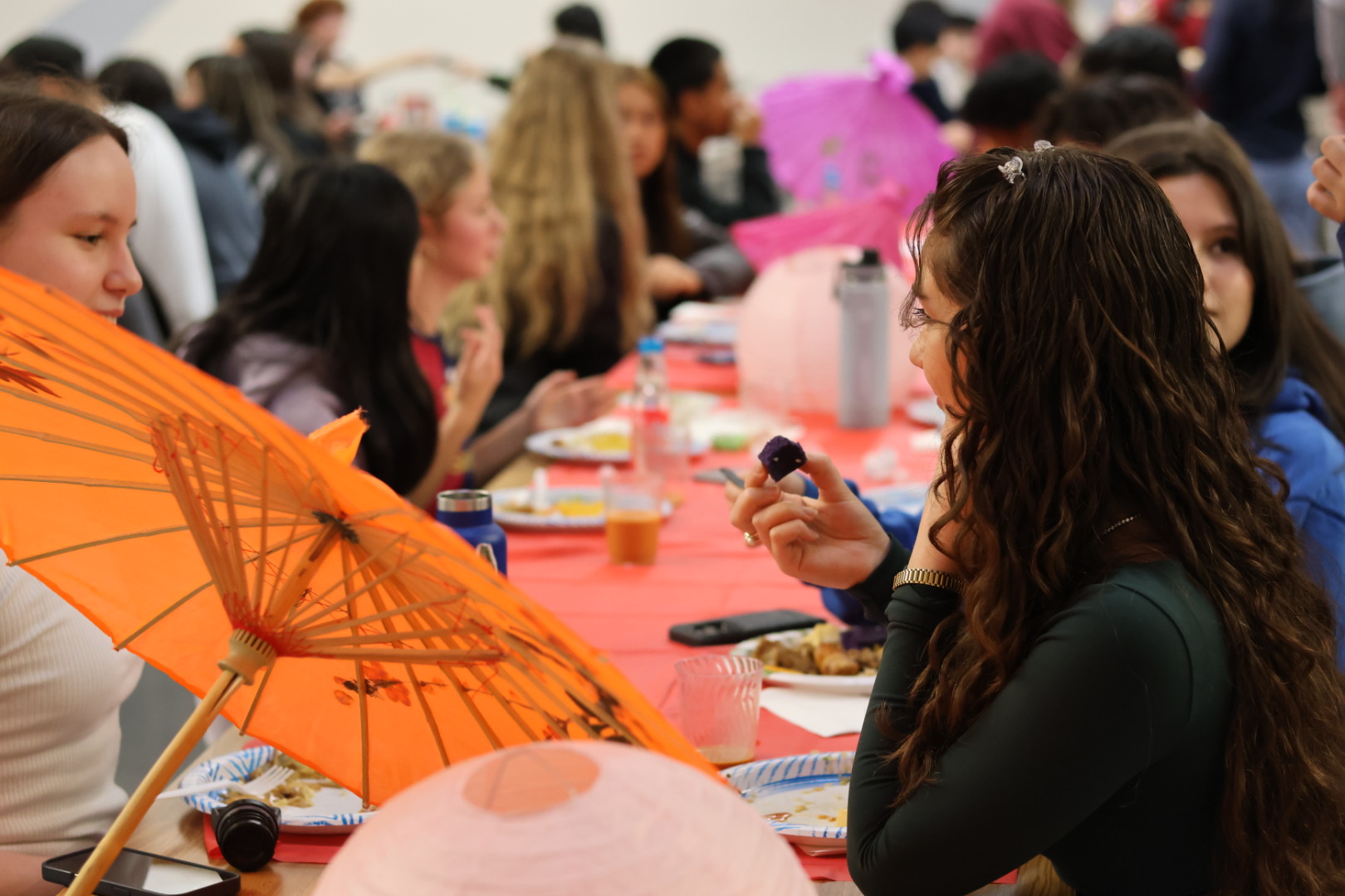 Celebrating Culture and Crafting Community, AAPI Club Holds Lunar New Year Potluck