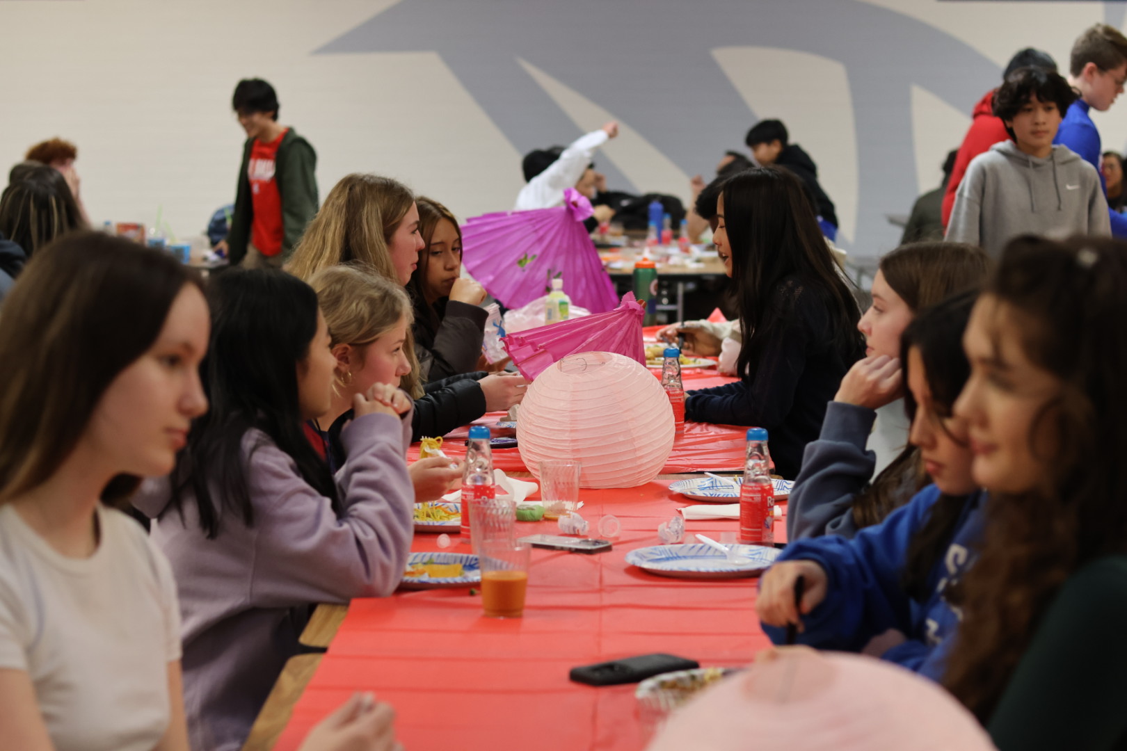 Celebrating Culture and Crafting Community, AAPI Club Holds Lunar New Year Potluck