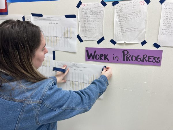 Math teacher Ms. Rose Adkisson hangs up spaghetti graphs made by her AP Precalculus students on Friday, Feb. 21.