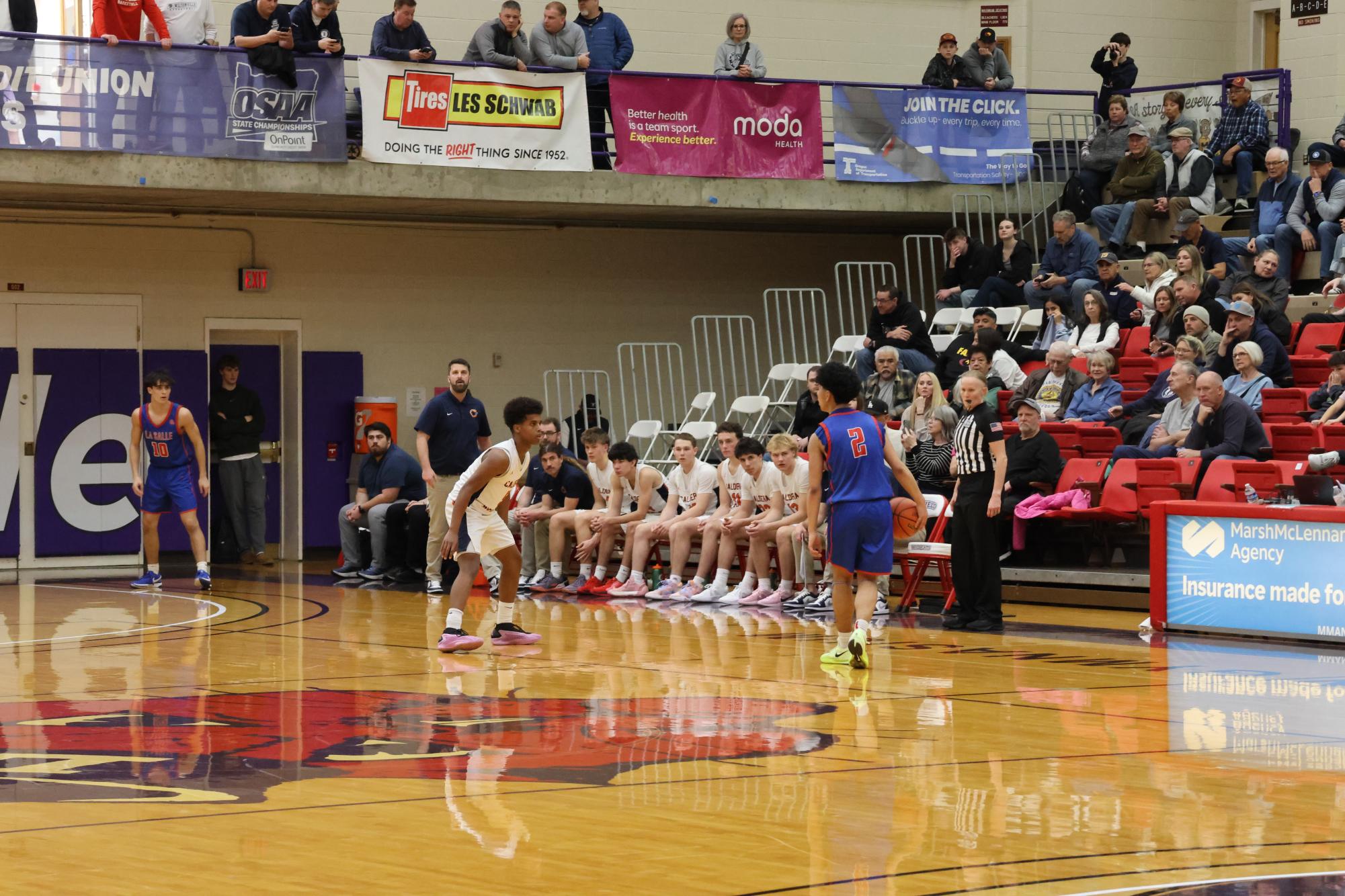 Photo Story: Falcons' Boys Basketball Fly Past First Seed Caldera