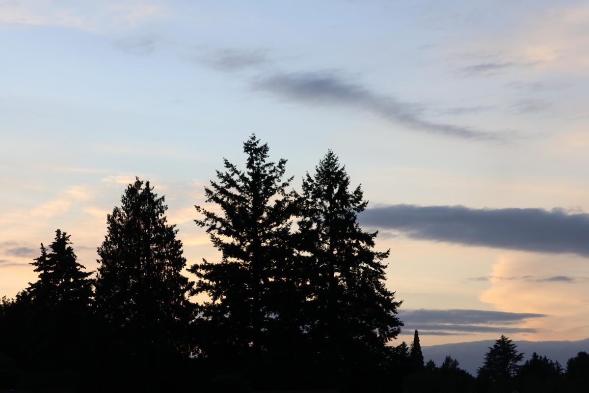 The trees standing tall behind La Salle after the sun has set on Wednesday, May 14.