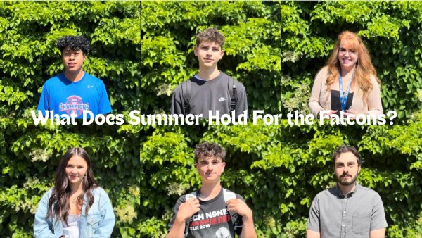 What Does The Summer Hold For The Falcons?
