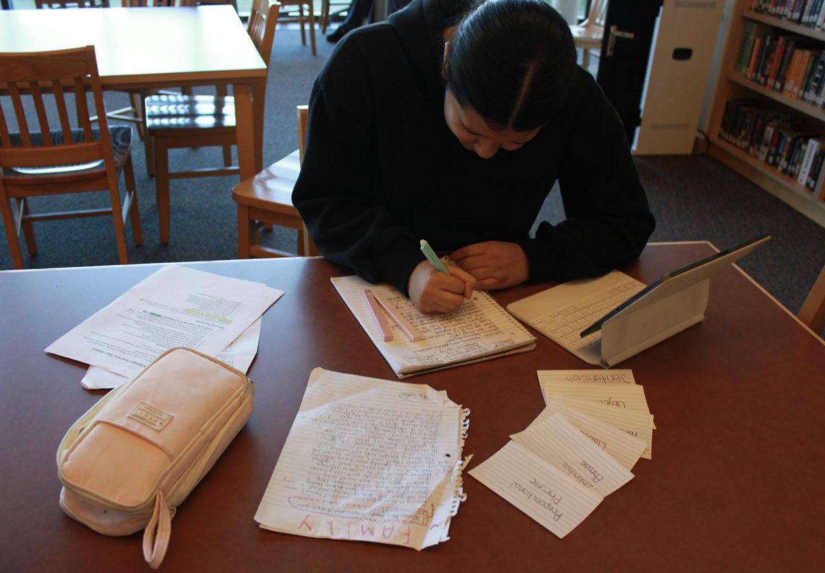Piles of notebooks and textbooks sit open, representing the workload many students struggle under every day.
