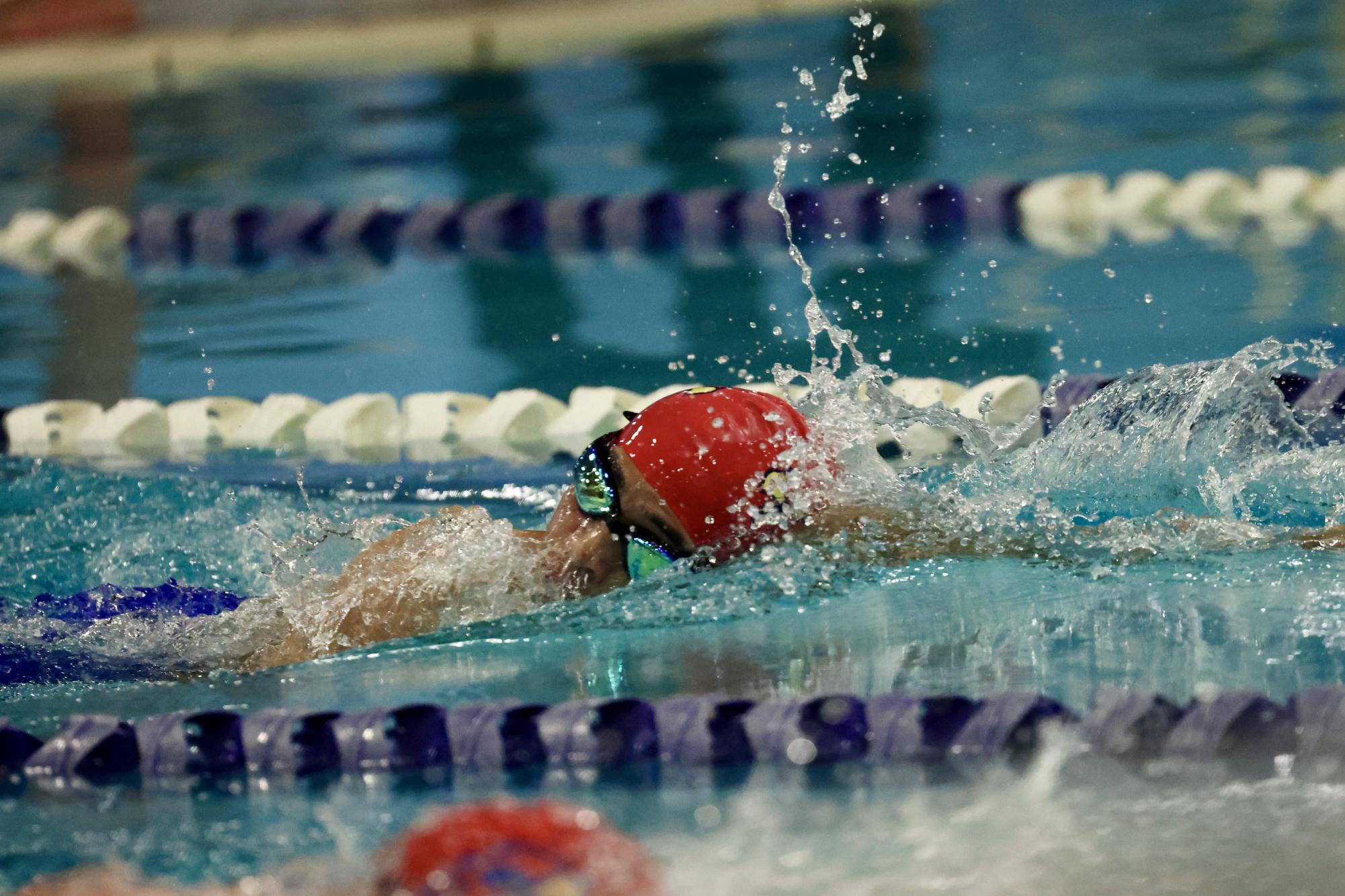 Falcons’ Last Plunge: La Salle Swim Team Hosts Their Senior Night