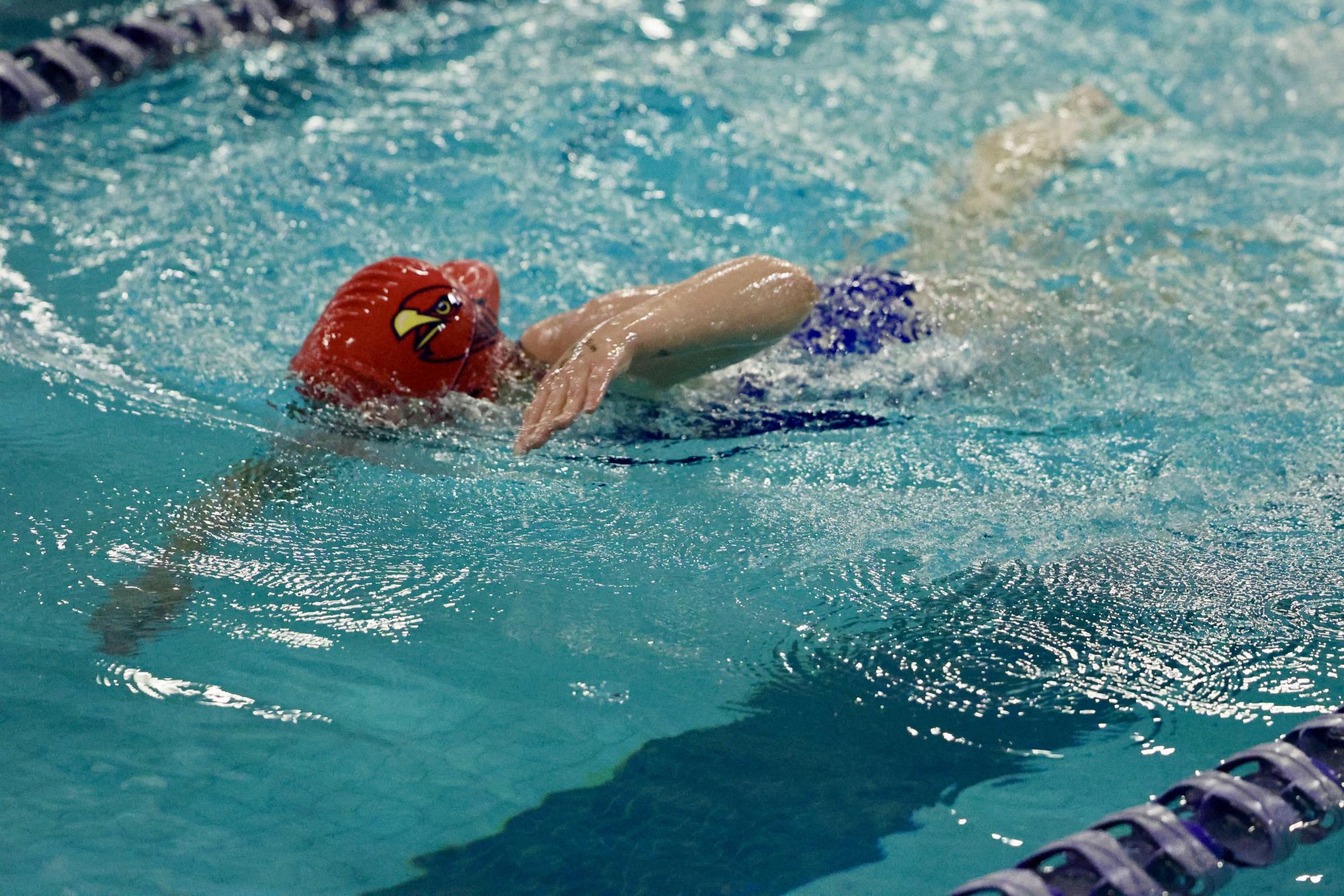 Falcons’ Last Plunge: La Salle Swim Team Hosts Their Senior Night
