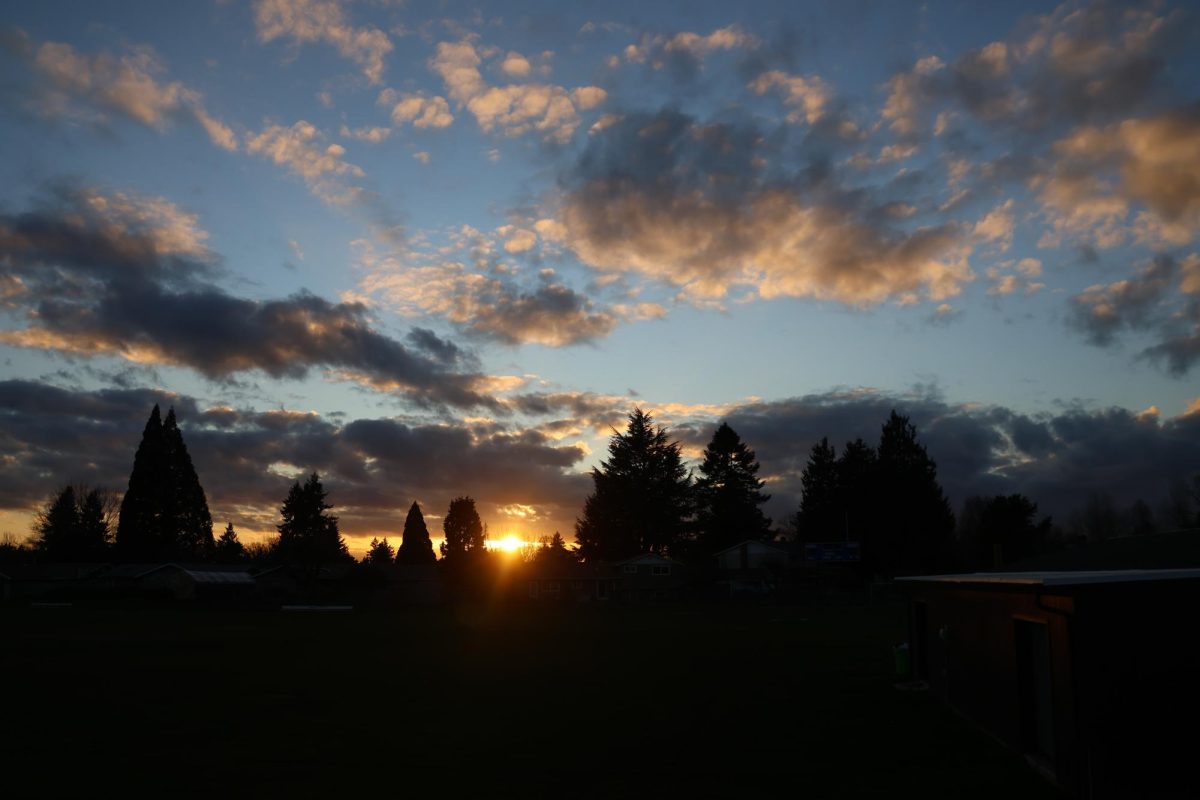 The sun sets behind the tree line from the view of the baseball’s bleachers.