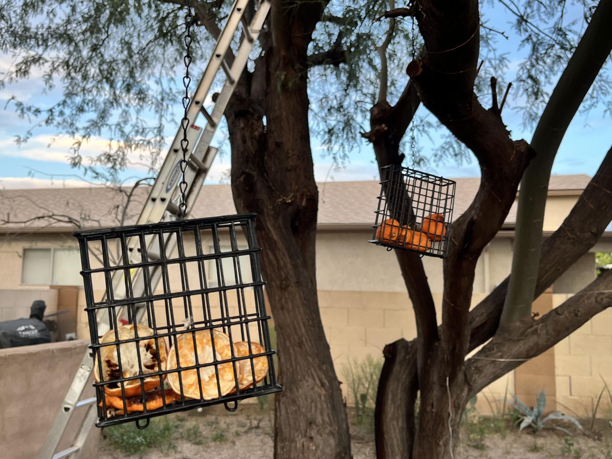 Devastating and Humanizing, “El Otro Lado” Illuminates What It Means To Be Lasallian