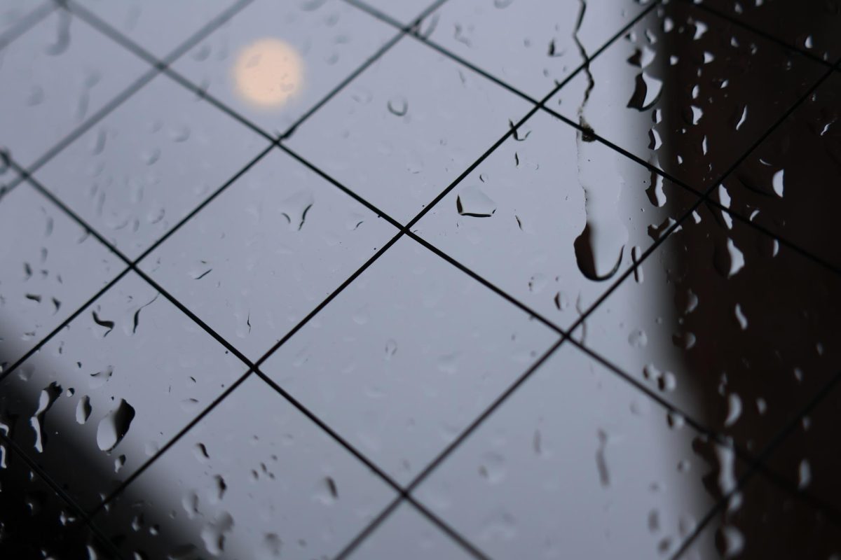 Raindrops descend windowpanes under the gray skies hanging above La Salle.
