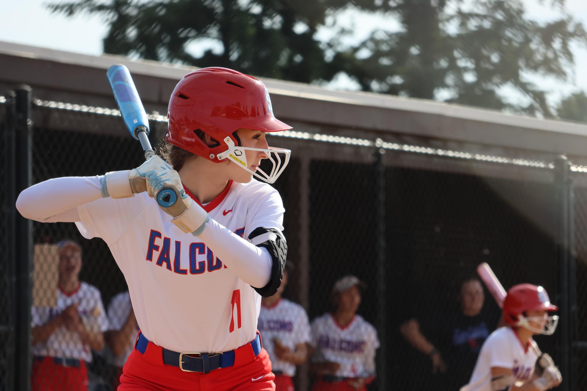 Photo Story: Falcons Softball Celebrate Senior Night Ahead of 5-1 Win