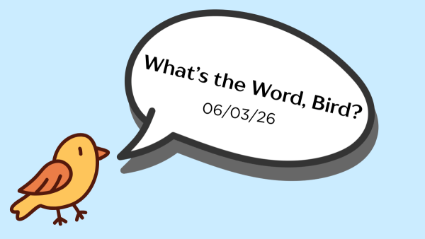 June 3: What's the Word, Bird?